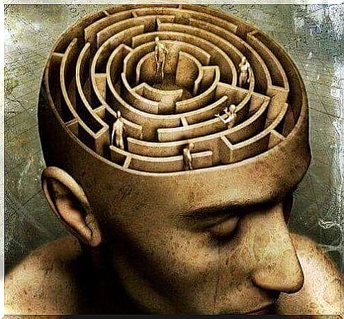 Brain as a labyrinth