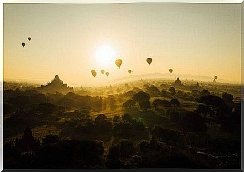 Hot air balloons fly towards the sun