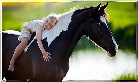 A girl hugs a horse.