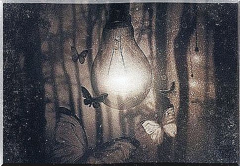 Lightbulb flown around by butterflies