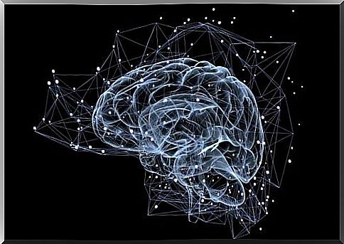 Signaling pathways in the brain