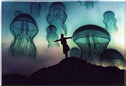 A woman is standing on a mountain in front of many jellyfish