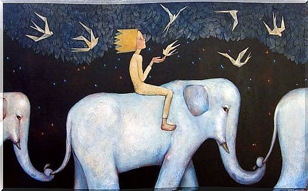 Boy on elephant