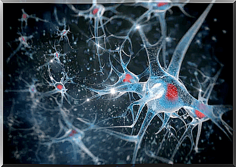 Blue neurons with red nuclei