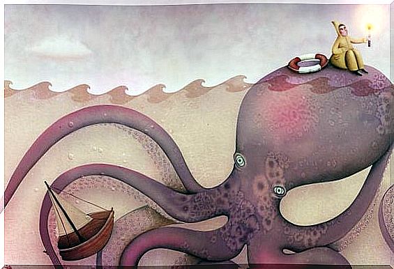 octopus