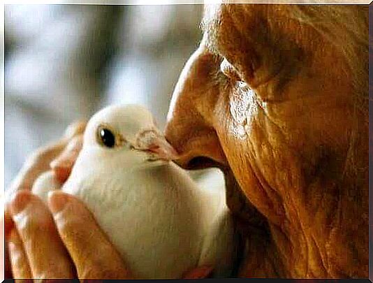 older-woman-with-the-dove