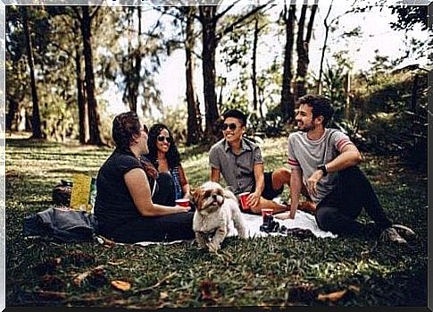 Friends having a picnic